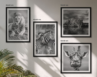 Ensemble de 4 tableaux Animaux sauvages lion jaguar girafe zèbres