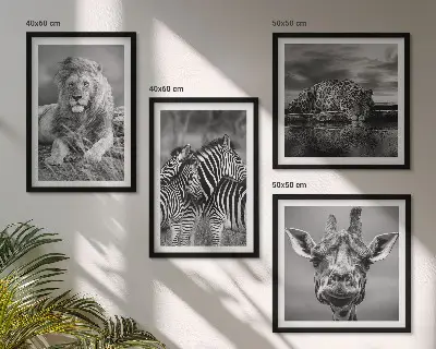 Ensemble de 4 tableaux représentant des animaux sauvages comme le lion, le jaguar, la girafe et les zèbres