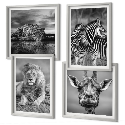 Ensemble de 4 tableaux Animaux sauvages lion jaguar girafe zèbres