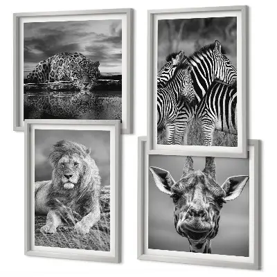 Ensemble de 4 tableaux représentant des animaux sauvages comme le lion, le jaguar, la girafe et les zèbres