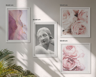 Ensemble de 4 tableaux Sculpture de pivoine représentant une femme