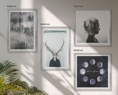 Ensemble de 4 tableaux Brouillard de forêt lune crâne femme