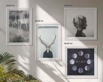Ensemble de 4 tableaux Brouillard de forêt lune crâne femme