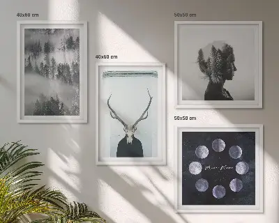 Ensemble de 4 tableaux représentant une femme, un crâne, la lune et une forêt dans le brouillard