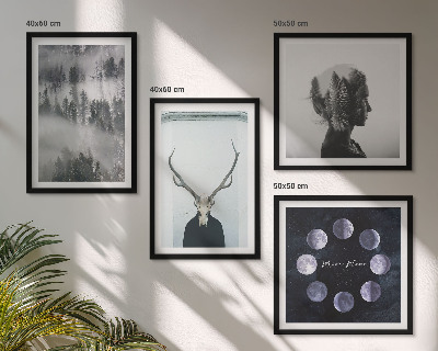 Ensemble de 4 tableaux Brouillard de forêt lune crâne femme