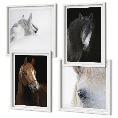 Polyptyque z cadres Portraits de chevaux en nuances