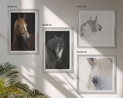Polyptyque z cadres Portraits de chevaux en nuances