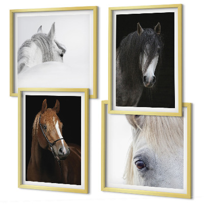 Polyptyque z cadres Portraits de chevaux en nuances