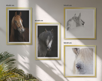 Polyptyque z cadres Portraits de chevaux en nuances