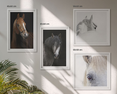 Polyptyque z cadres Portraits de chevaux en nuances