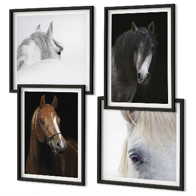 Polyptyque z cadres Portraits de chevaux en nuances