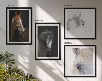 Polyptyque z cadres Portraits de chevaux en nuances