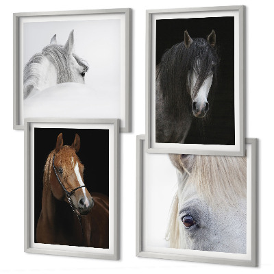 Polyptyque z cadres Portraits de chevaux en nuances