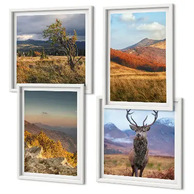 Mur de tableaux paysages de montagne et herbe à cerfs