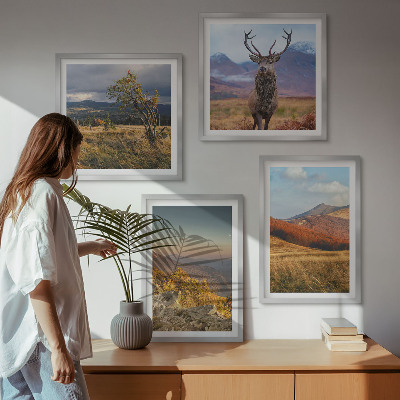 Mur de tableaux Paysages de montagne, herbe à cerfs