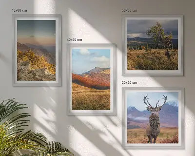 Mur de tableaux paysages de montagne et herbe à cerfs