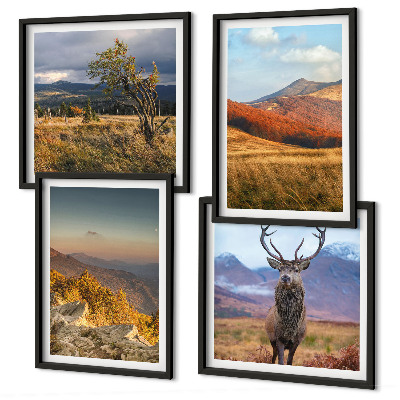 Mur de tableaux Paysages de montagne, herbe à cerfs