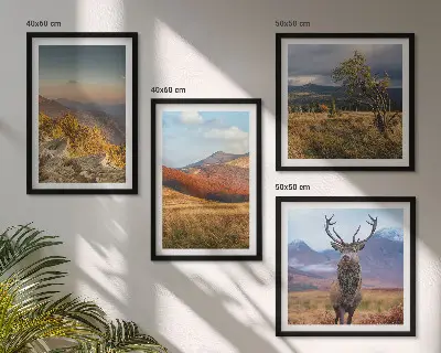 Mur de tableaux paysages de montagne et herbe à cerfs