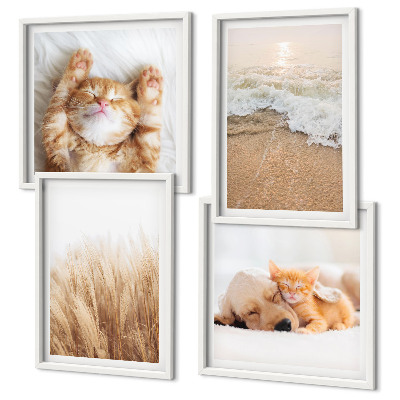 Mur de tableaux Animaux mignons chats chiens plage
