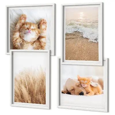 Mur de tableaux sur le thème des animaux mignons avec des chats et des chiens sur la plage