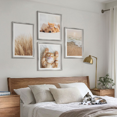 Mur de tableaux Animaux mignons chats chiens plage
