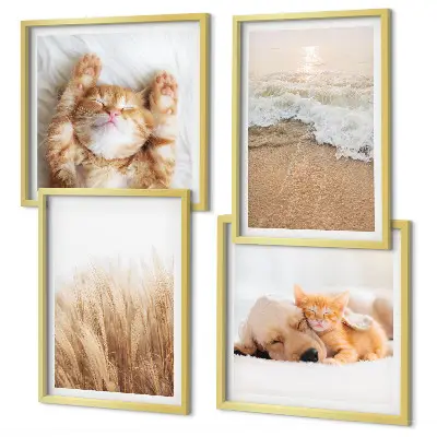 Mur de tableaux sur le thème des animaux mignons avec des chats et des chiens sur la plage
