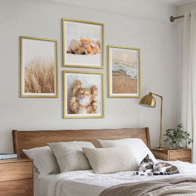 Mur de tableaux Animaux mignons chats chiens plage