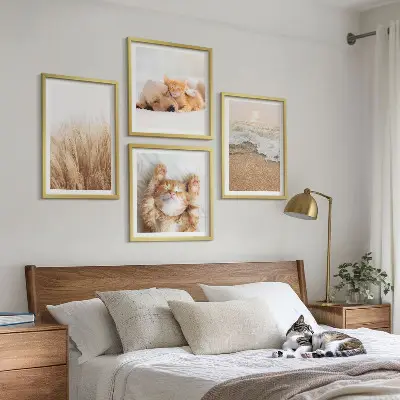 Mur de tableaux sur le thème des animaux mignons avec des chats et des chiens sur la plage