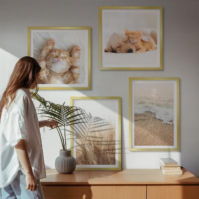 Mur de tableaux Animaux mignons chats chiens plage