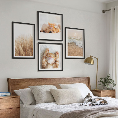 Mur de tableaux Animaux mignons chats chiens plage