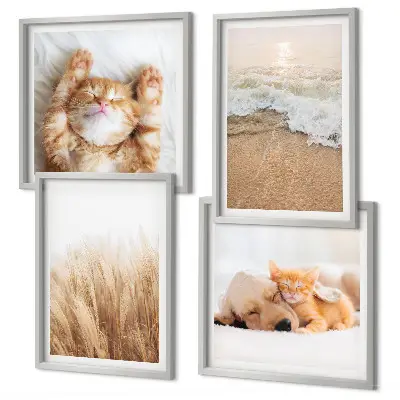 Mur de tableaux sur le thème des animaux mignons avec des chats et des chiens sur la plage