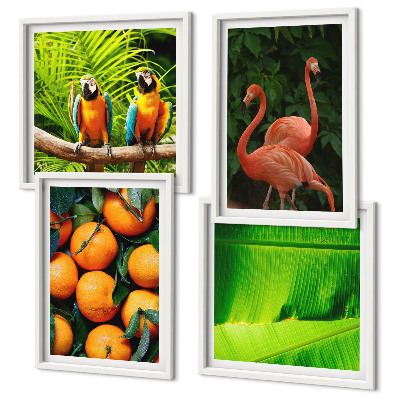 Mur de tableaux Des accents fruités des tropiques