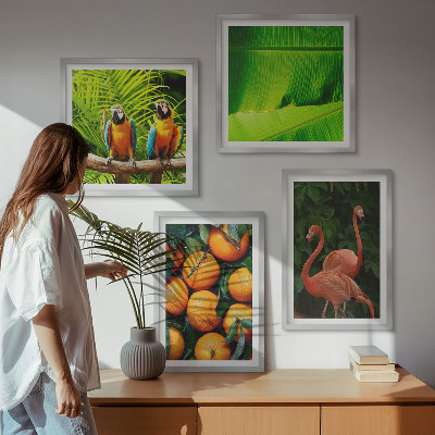 Mur de tableaux Des accents fruités des tropiques