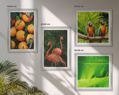 Mur de tableaux Des accents fruités des tropiques