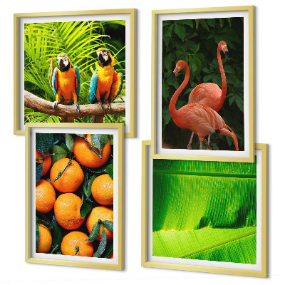 Mur de tableaux Des accents fruités des tropiques