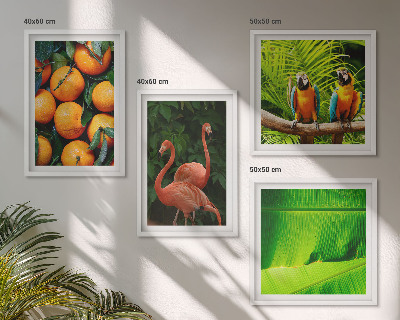 Mur de tableaux Des accents fruités des tropiques