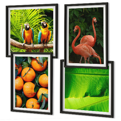 Mur de tableaux Des accents fruités des tropiques