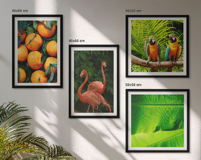 Mur de tableaux Des accents fruités des tropiques