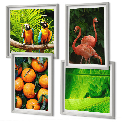 Mur de tableaux Des accents fruités des tropiques