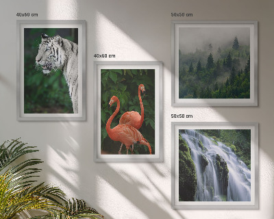 Polyptyque z cadres Cascade du tigre flamants roses nature