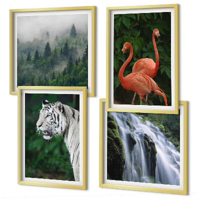 Polyptyque z cadres Cascade du tigre flamants roses nature