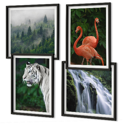 Polyptyque z cadres Cascade du tigre flamants roses nature
