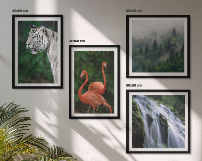 Polyptyque z cadres Cascade du tigre flamants roses nature