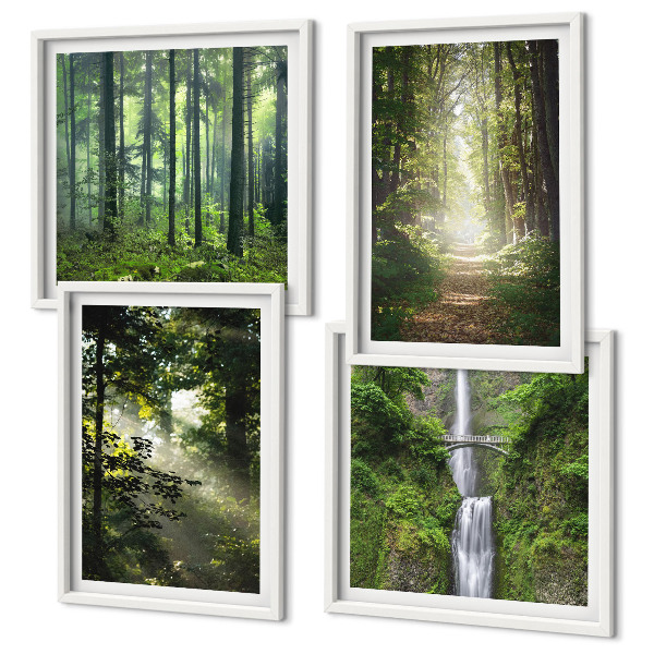 Mur de tableaux Rayons de lumière des forêts vertes