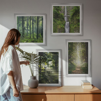 Mur de tableaux Rayons de lumière des forêts vertes