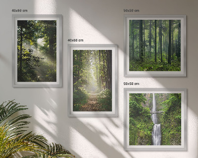 Mur de tableaux Rayons de lumière des forêts vertes