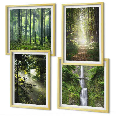 Mur de tableaux Rayons de lumière des forêts vertes
