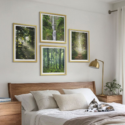 Mur de tableaux Rayons de lumière des forêts vertes