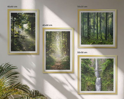 Mur de tableaux Rayons de lumière des forêts vertes