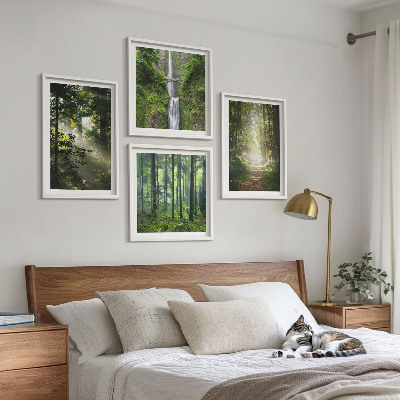 Mur de tableaux Rayons de lumière des forêts vertes